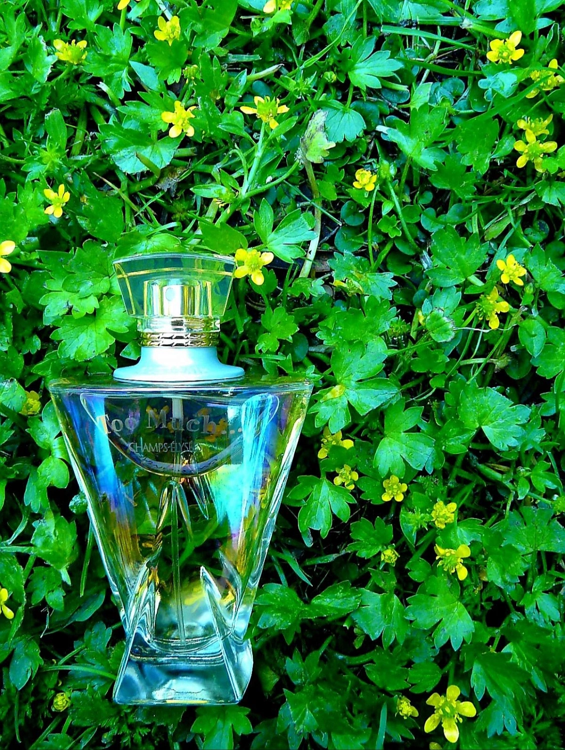 Guerlain Champs Elysees Too Much