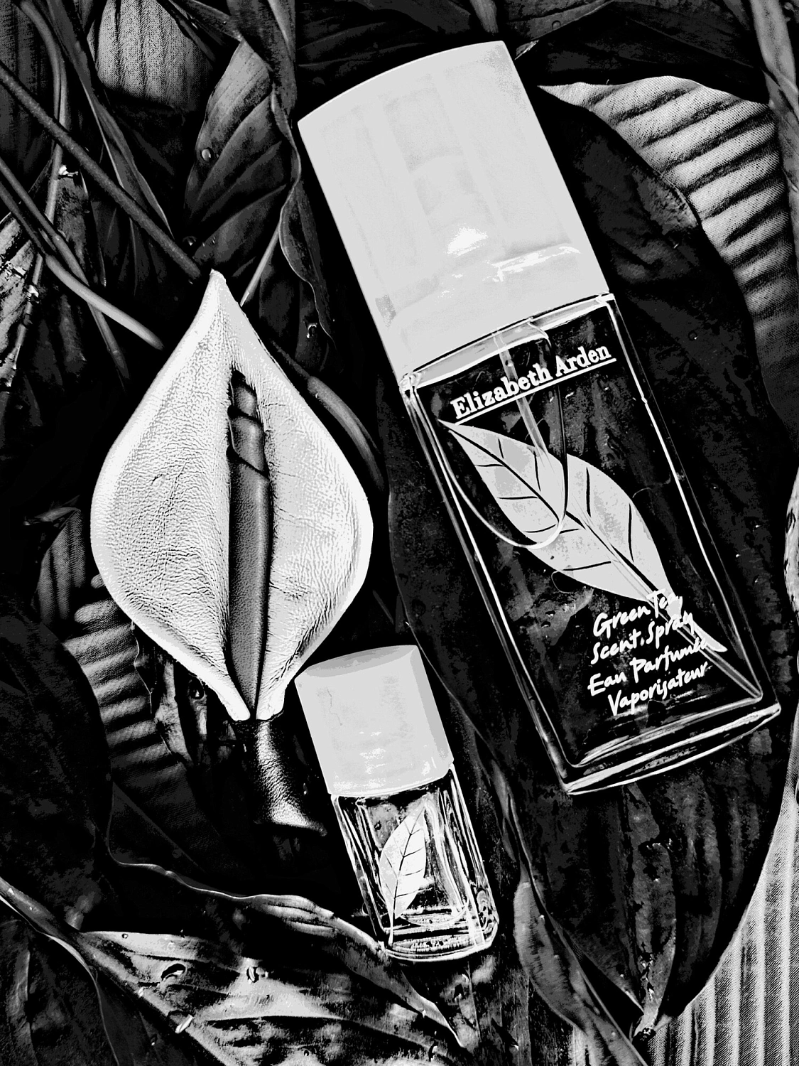 Elizabeth Arden Green Tea