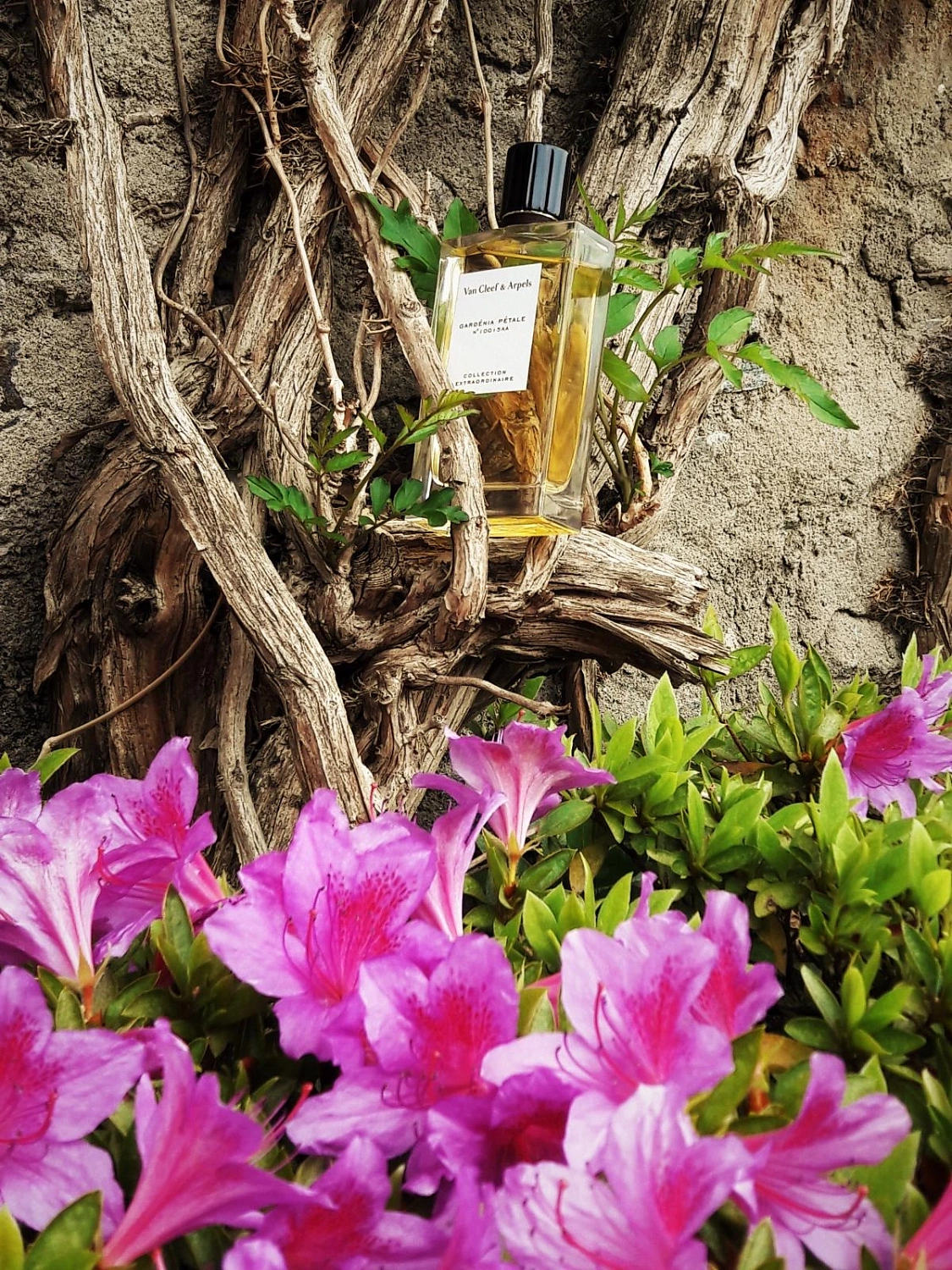 Van Cleef & Arpels Collection Extraordinaire Gardenia Petale