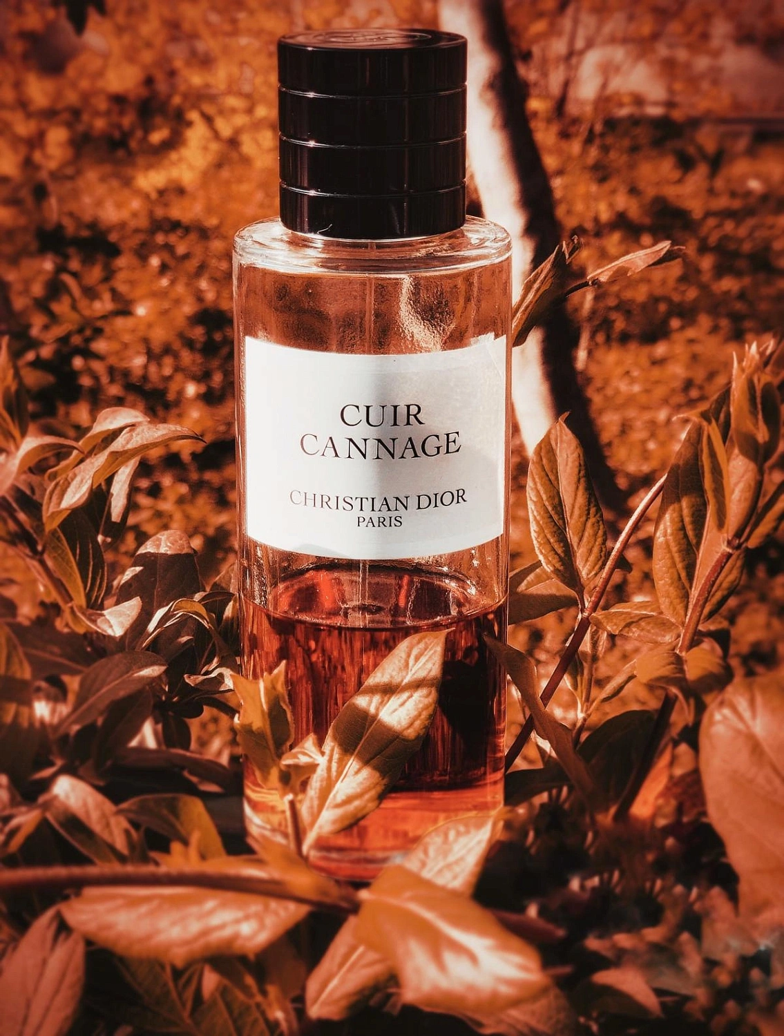 Christian Dior Cuir Cannage