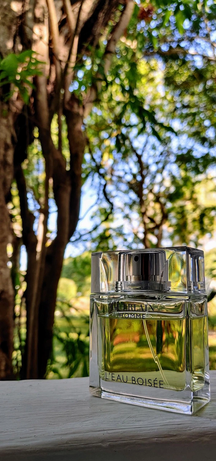 Guerlain L'Homme L'Eau Boisee