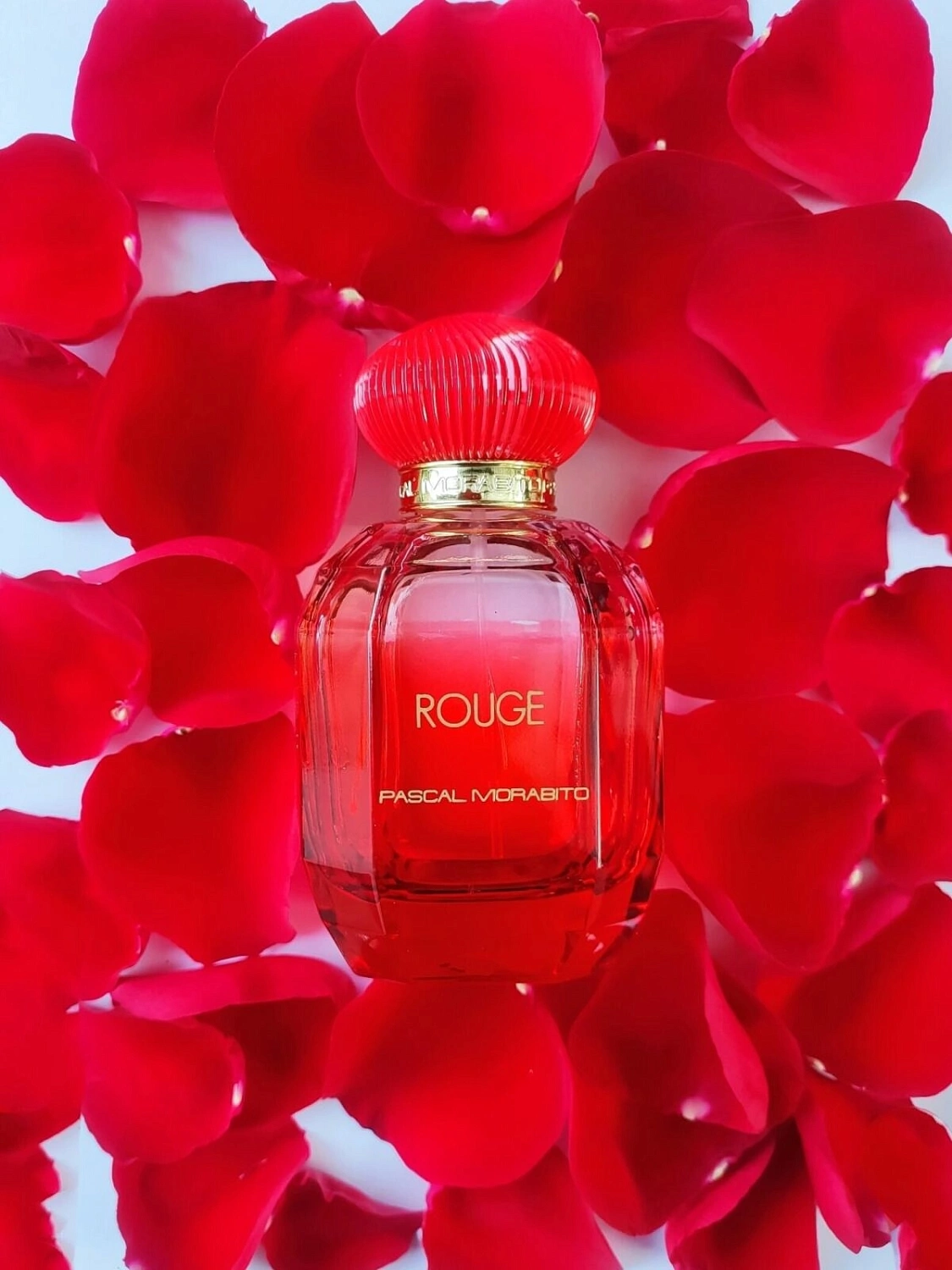 Pascal Morabito Rouge
