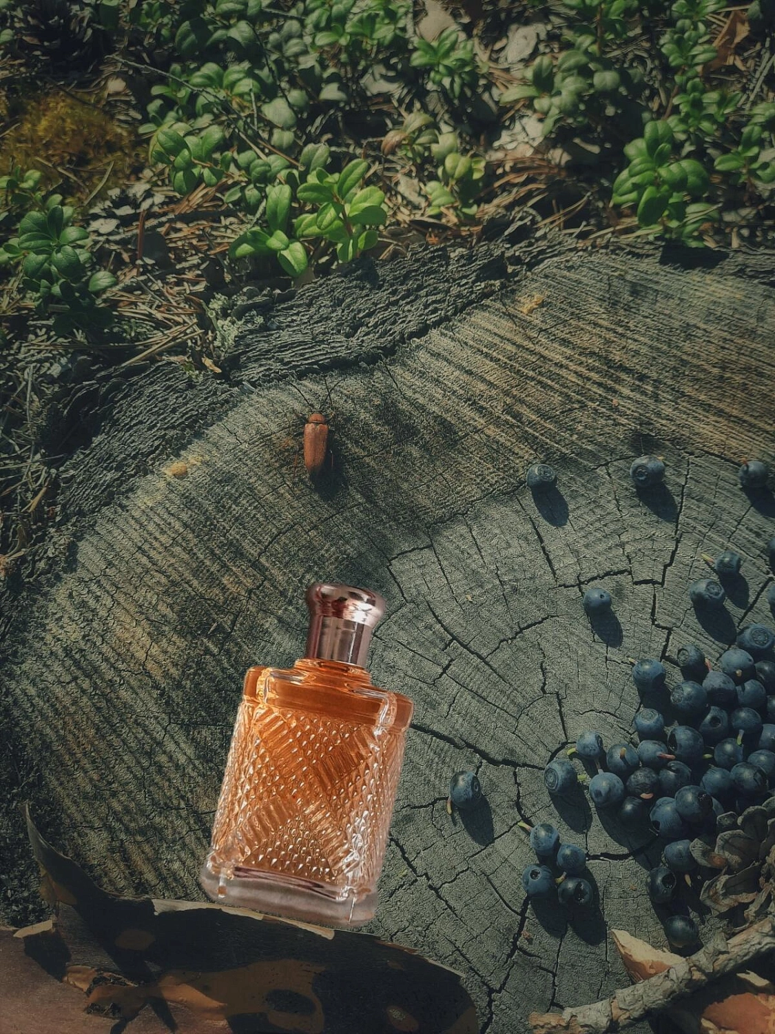 Ralph Lauren Safari for Men