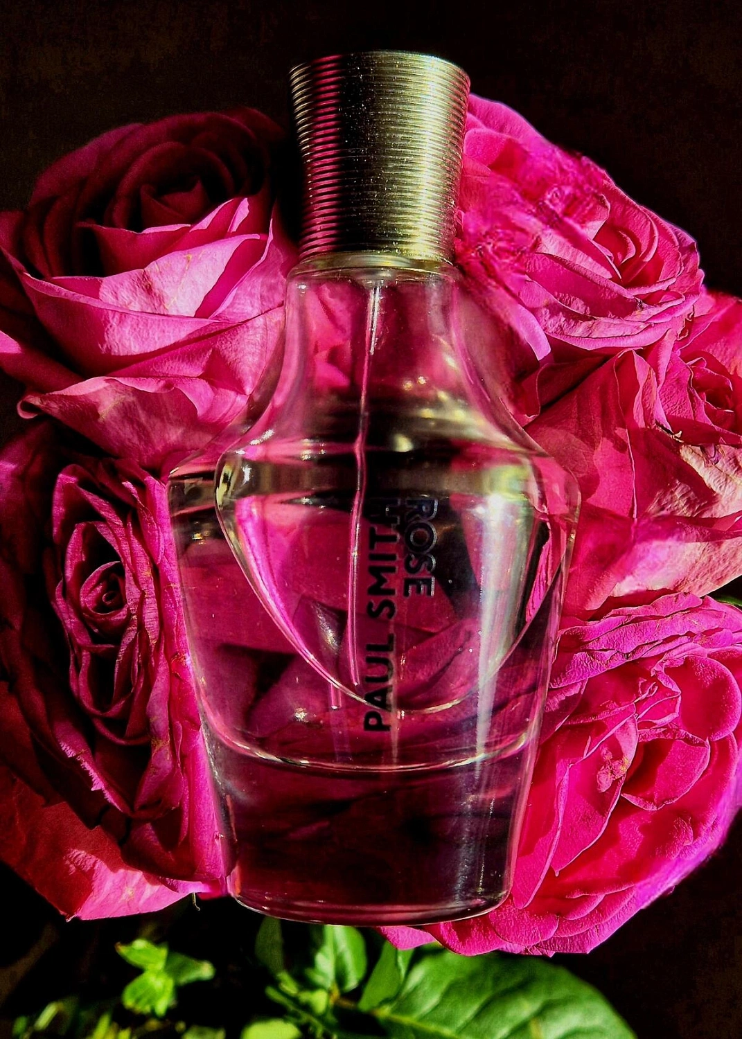 Paul Smith Rose