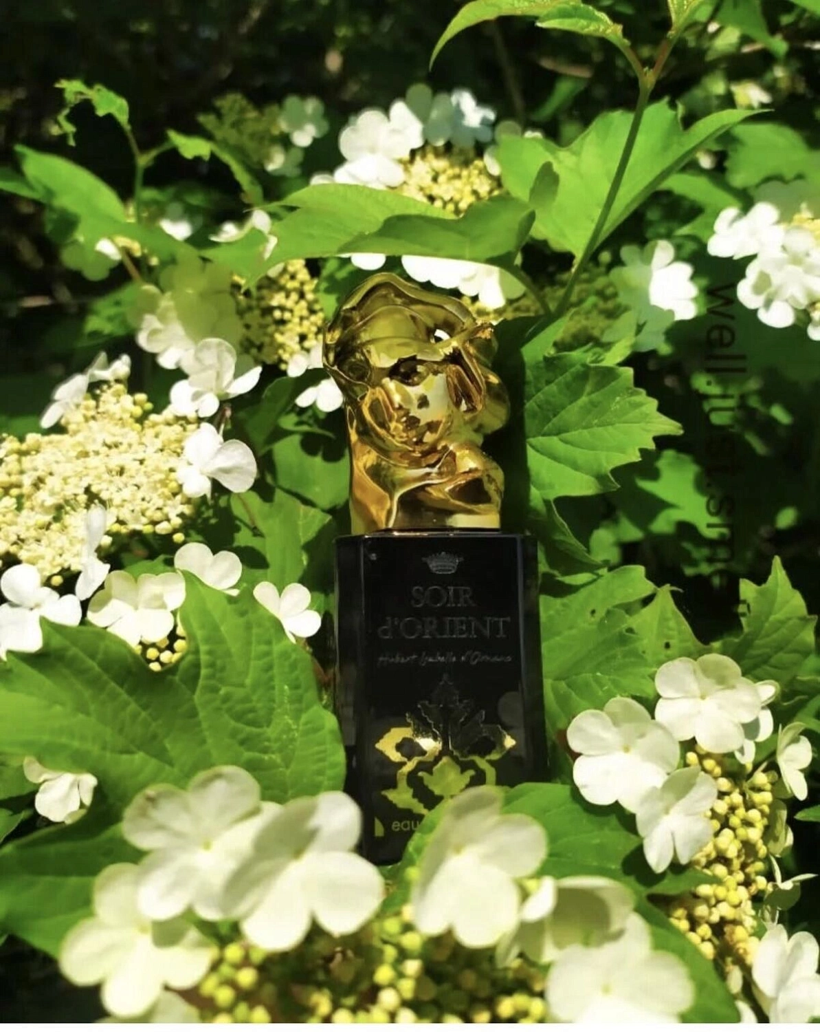 Sisley Soir d'Orient