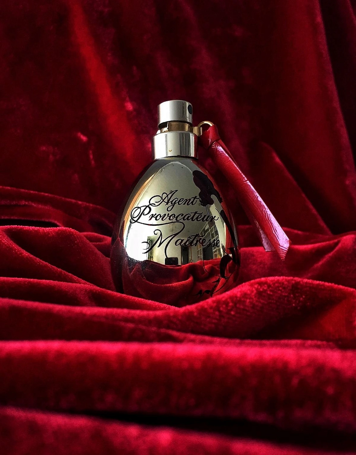 Agent Provocateur Maitresse Gold Edition