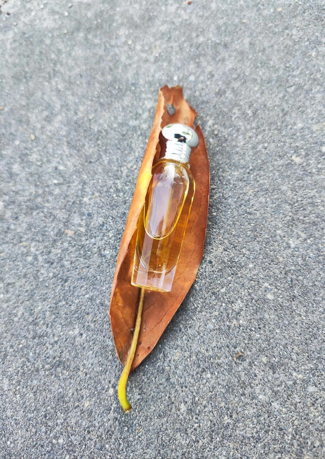 Laura Ashley L'Eau