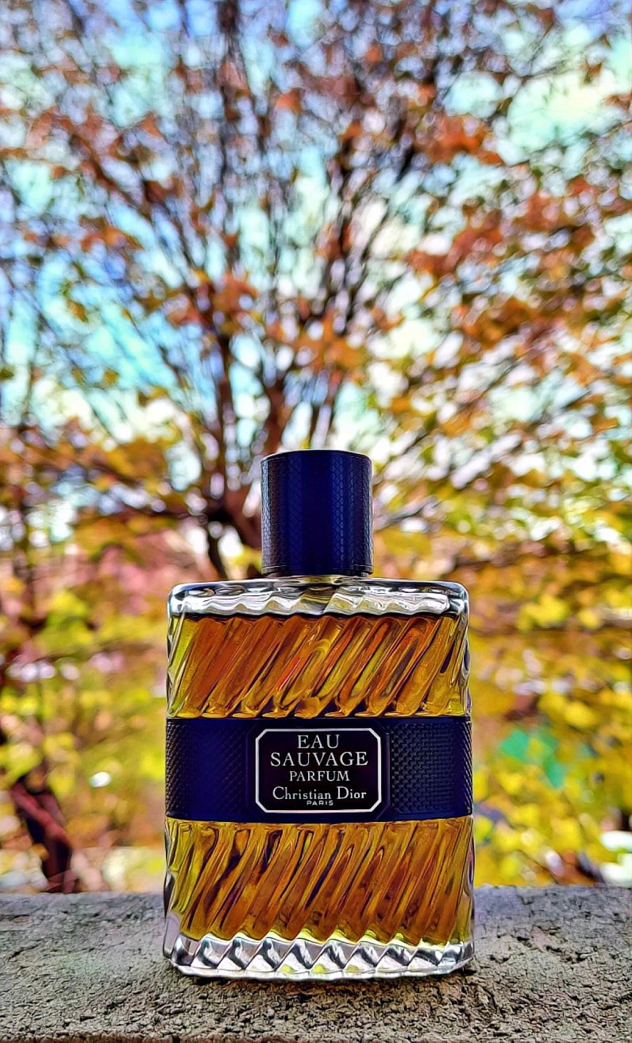 Christian Dior Eau Sauvage Parfum