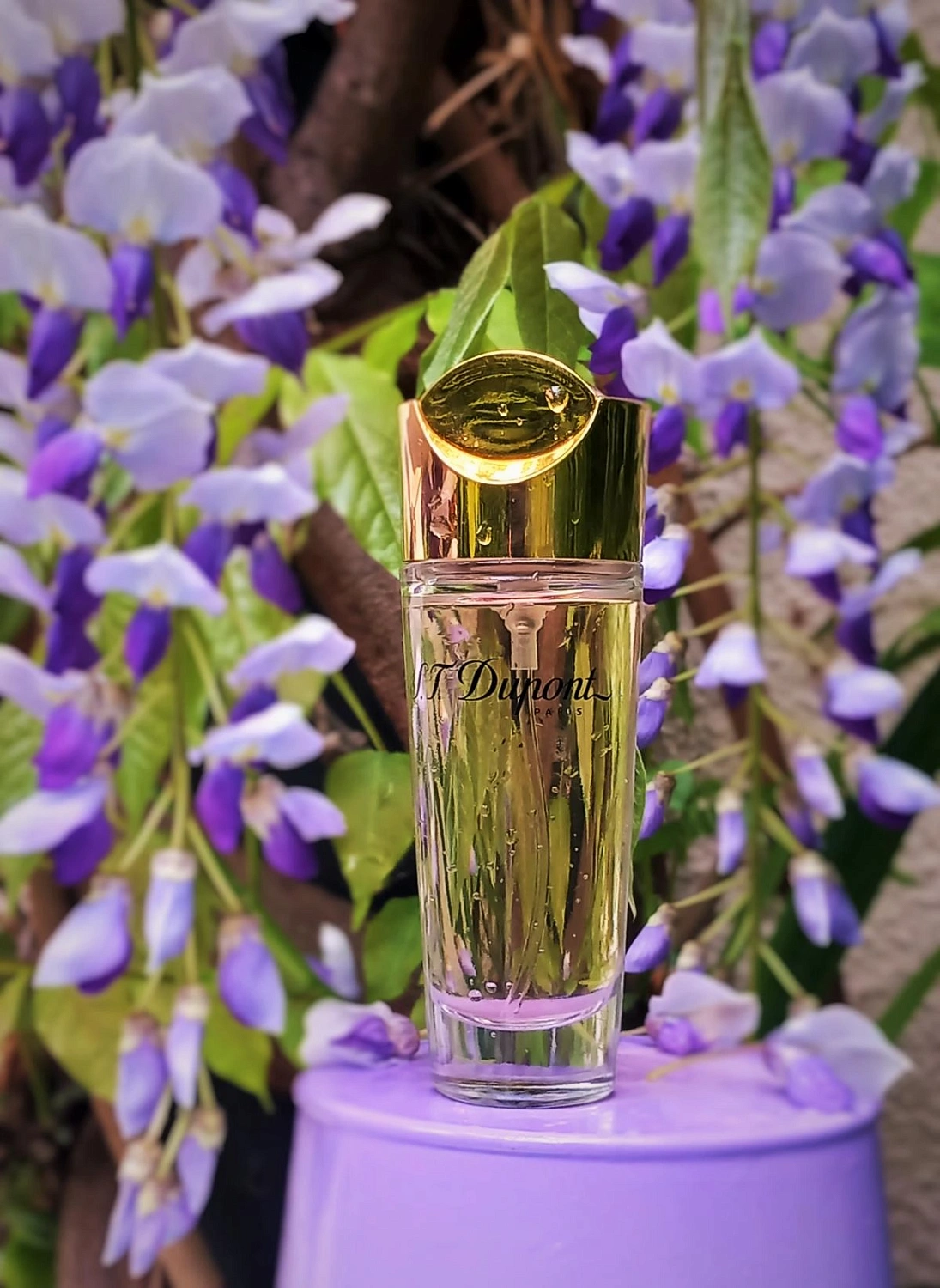 S.T. Dupont pour Femme