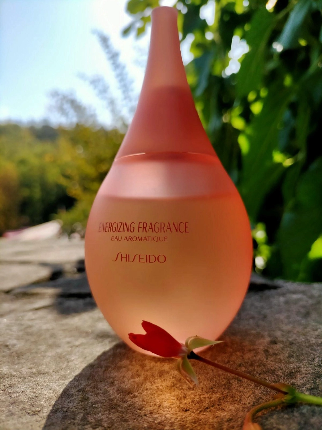 Shiseido Energizing