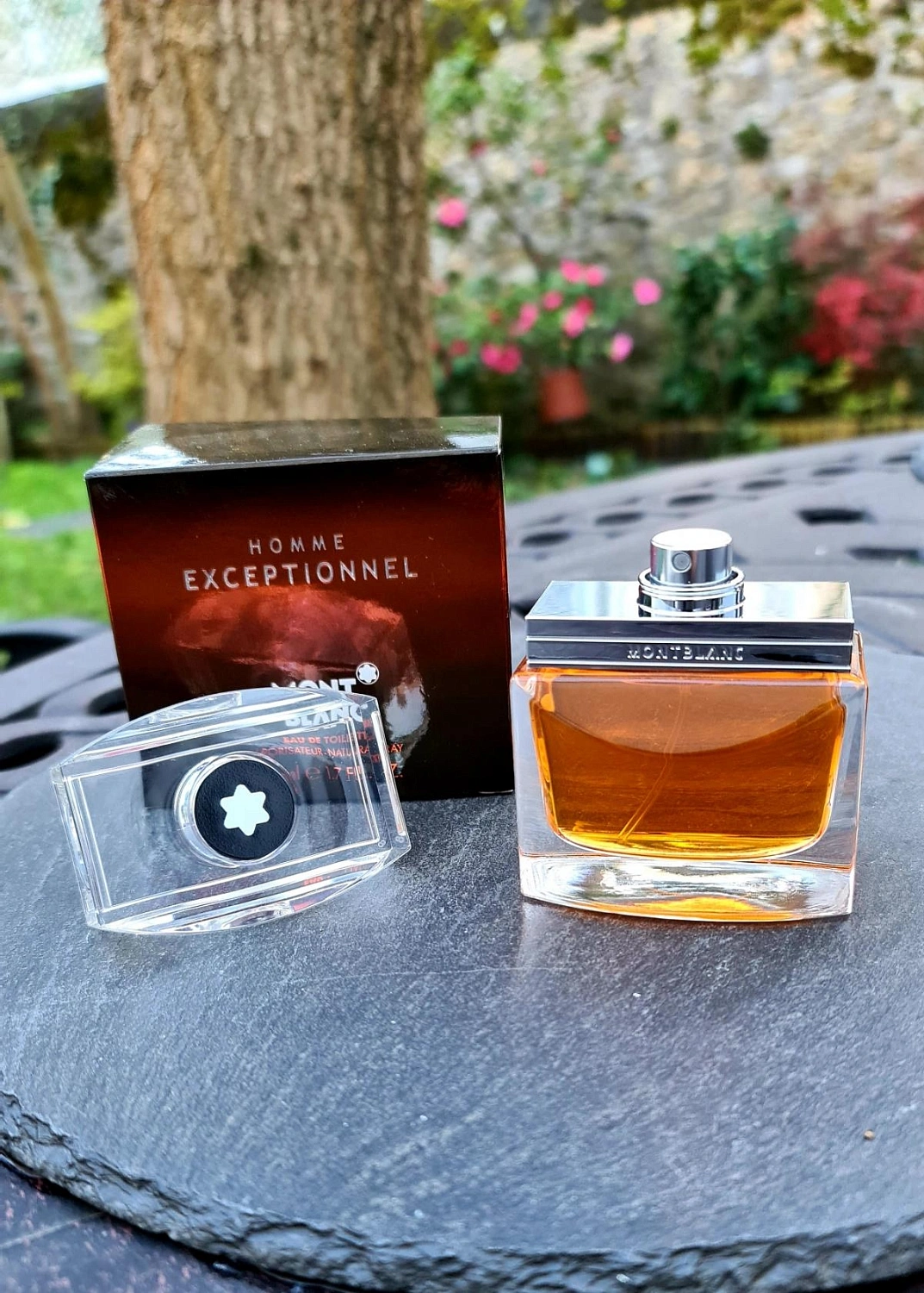 Montblanc Exceptionnel