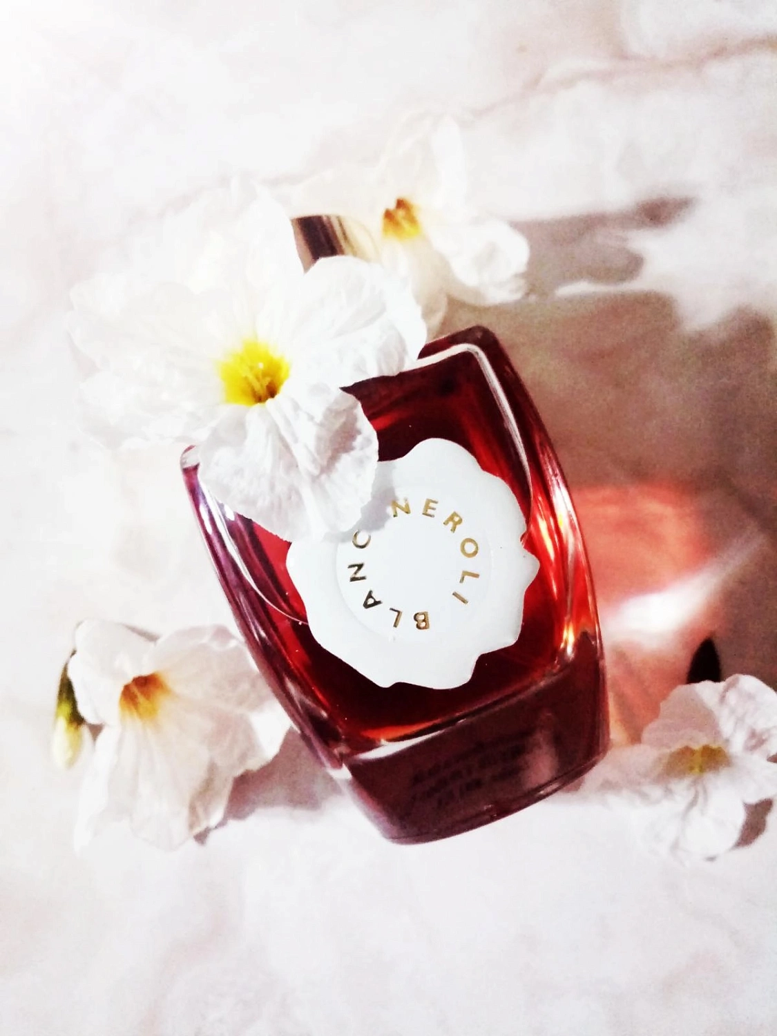 Au Pays de la Fleur d'Oranger Neroli Blanc Intense Eau de Parfum
