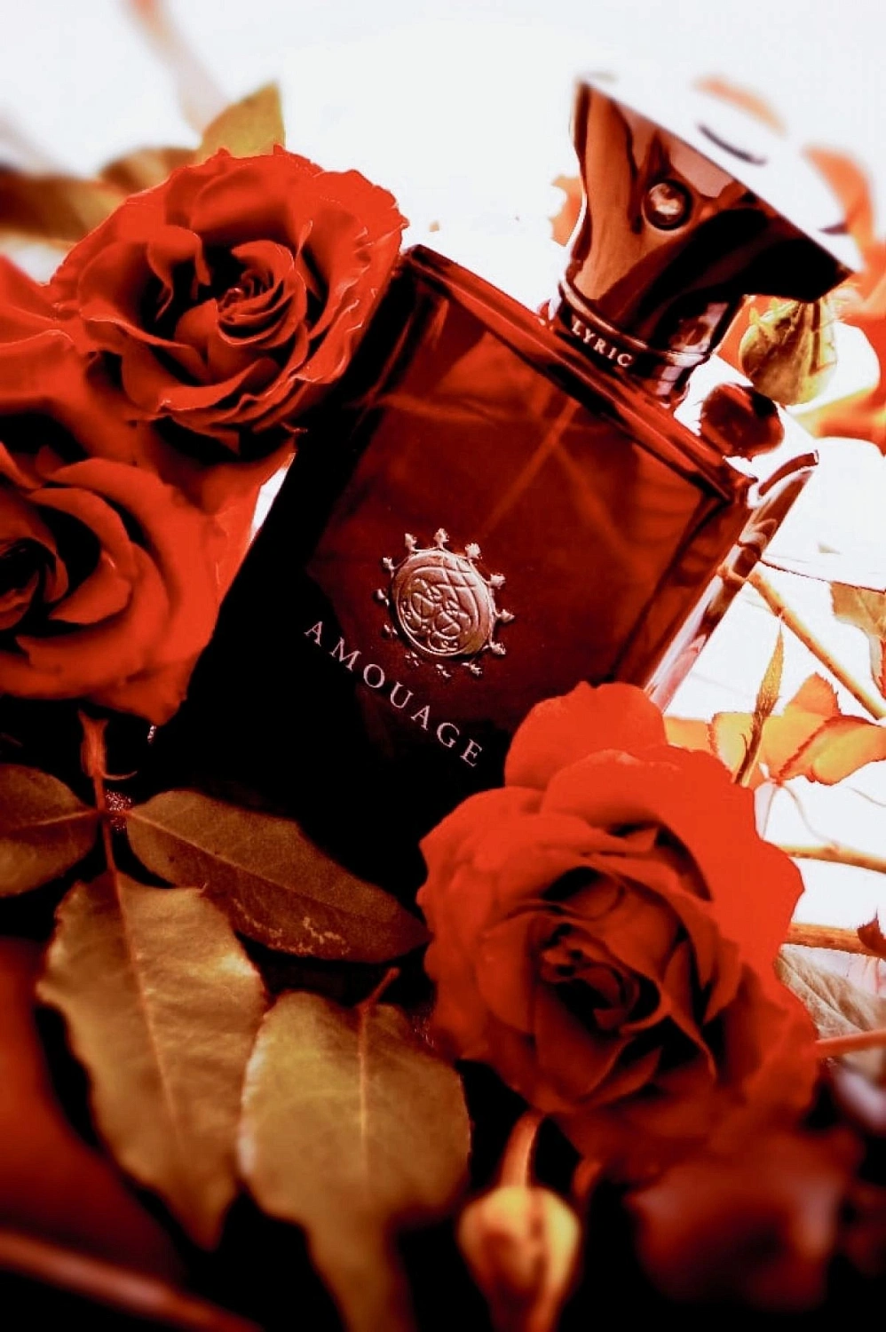 Amouage Lyric Man