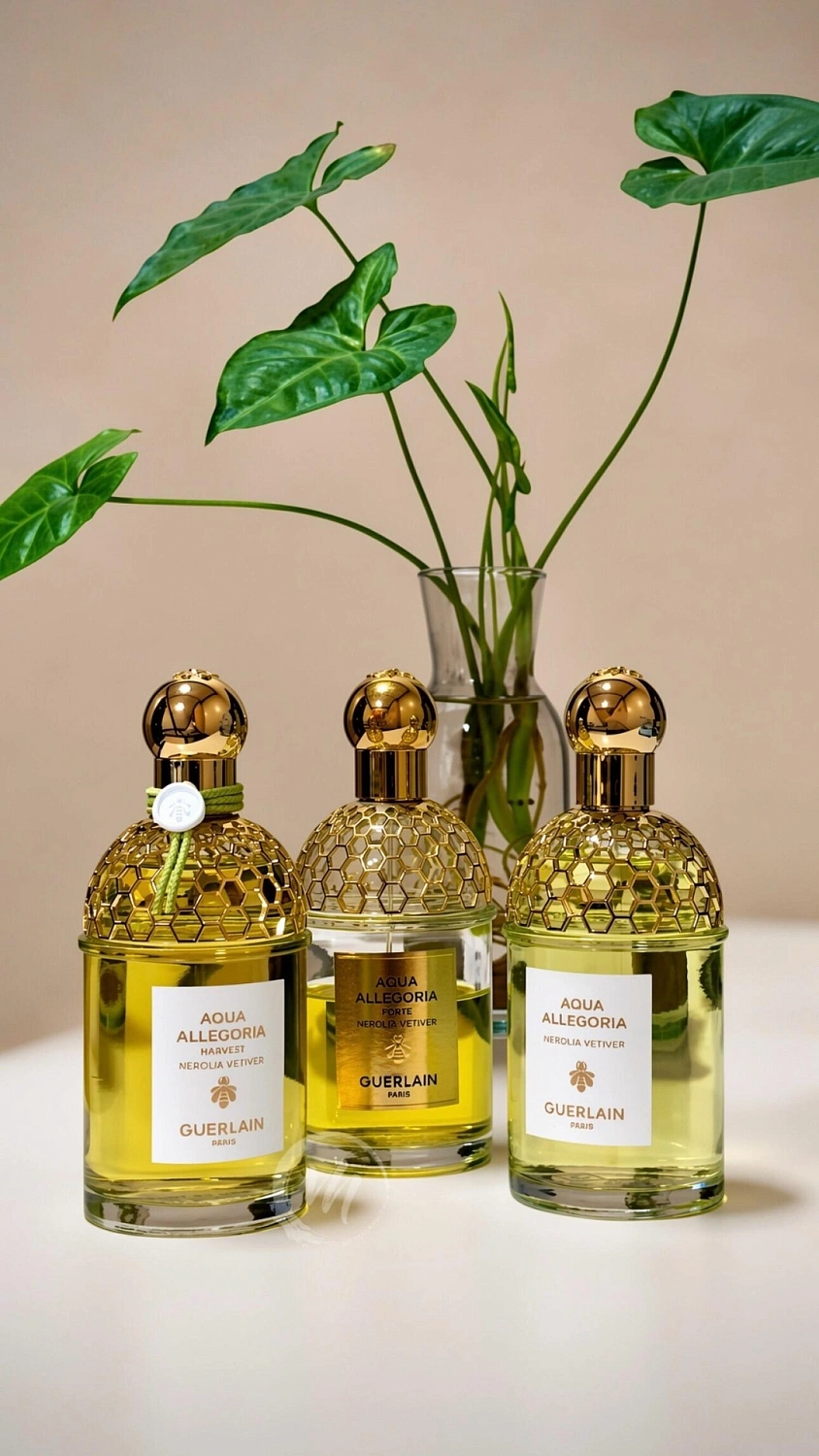 Guerlain Aqua Allegoria Forte Nerolia Vetiver