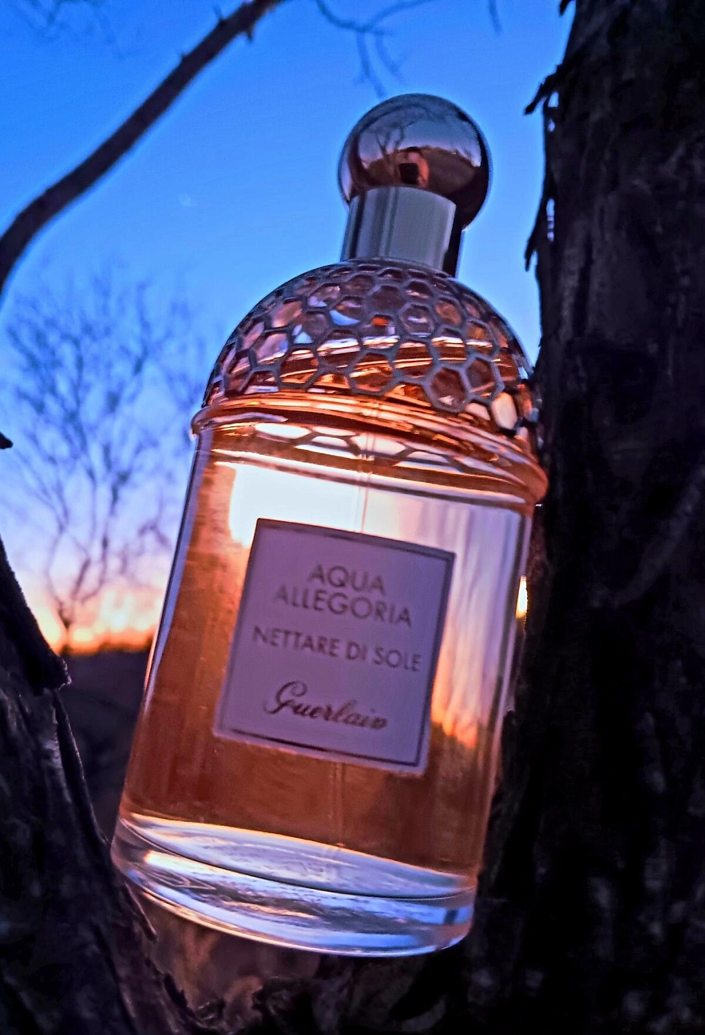 Guerlain Aqua Allegoria Nettare di Sole