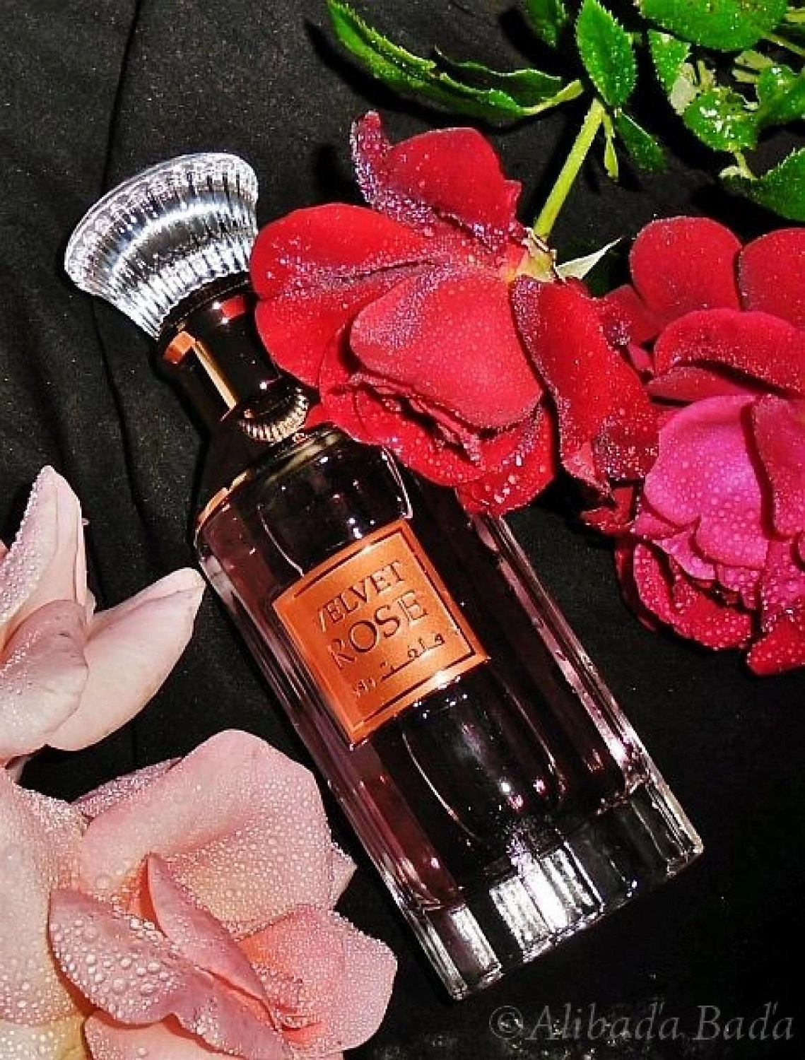 Lattafa Velvet Rose