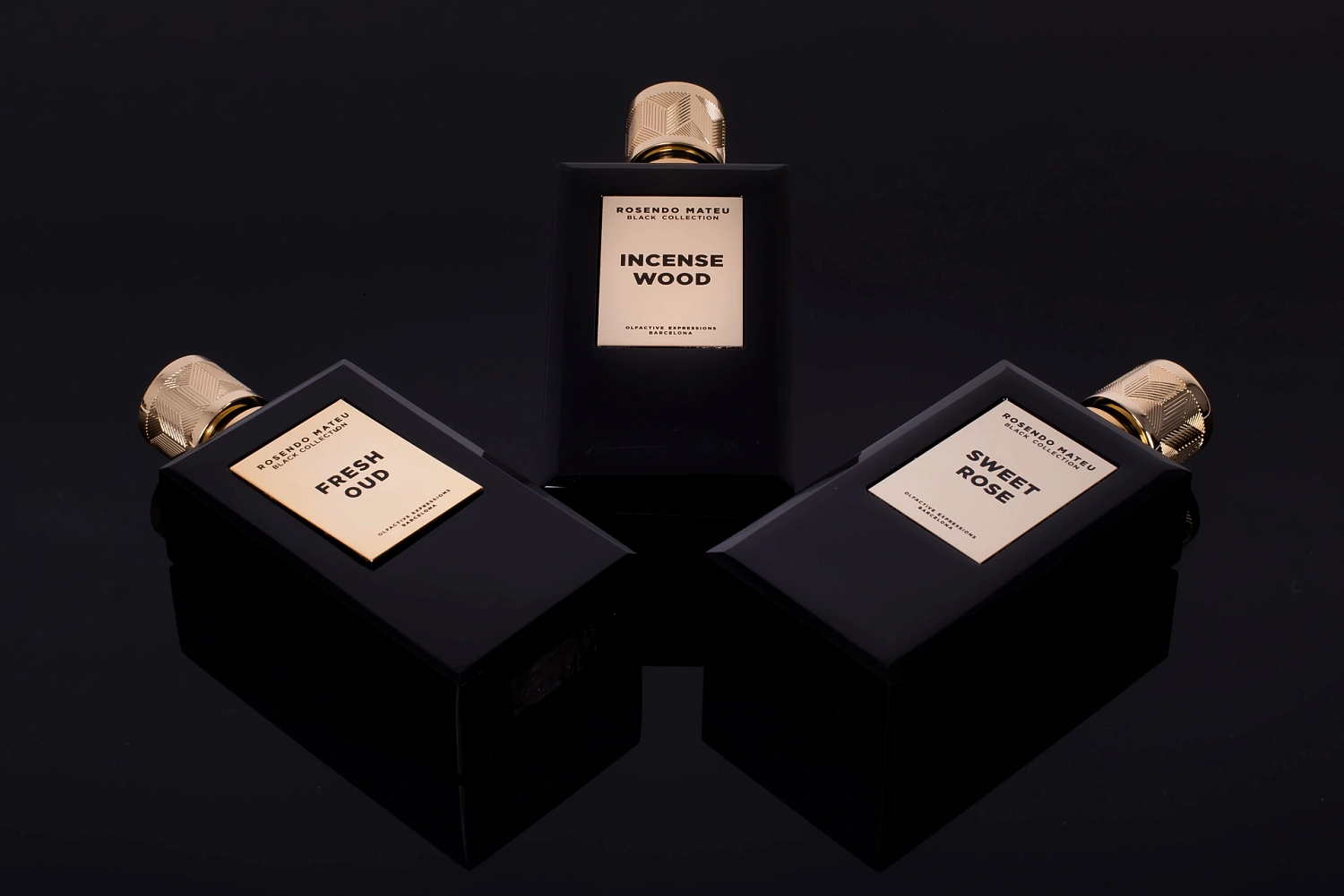 Rosendo Mateu Olfactive Expressions Incense Wood