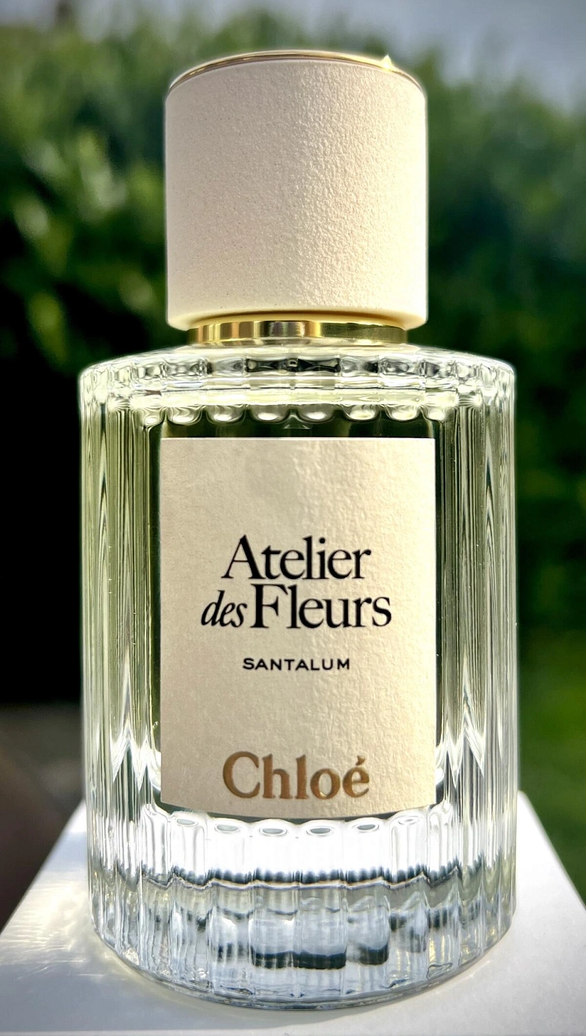 Chloé Santalum