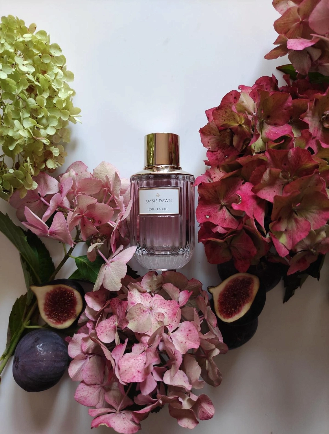 Estée Lauder Oasis Dawn