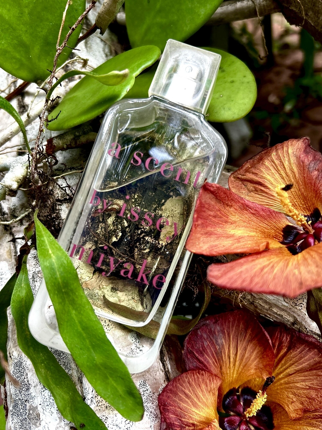 Issey Miyake A Scent Eau de Parfum Florale
