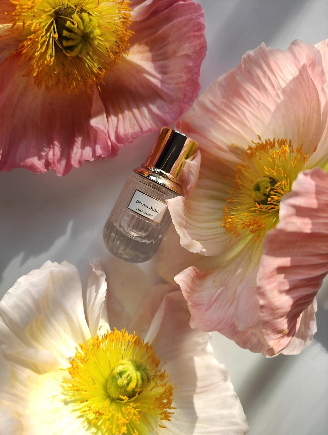 Estée Lauder Dream Dusk