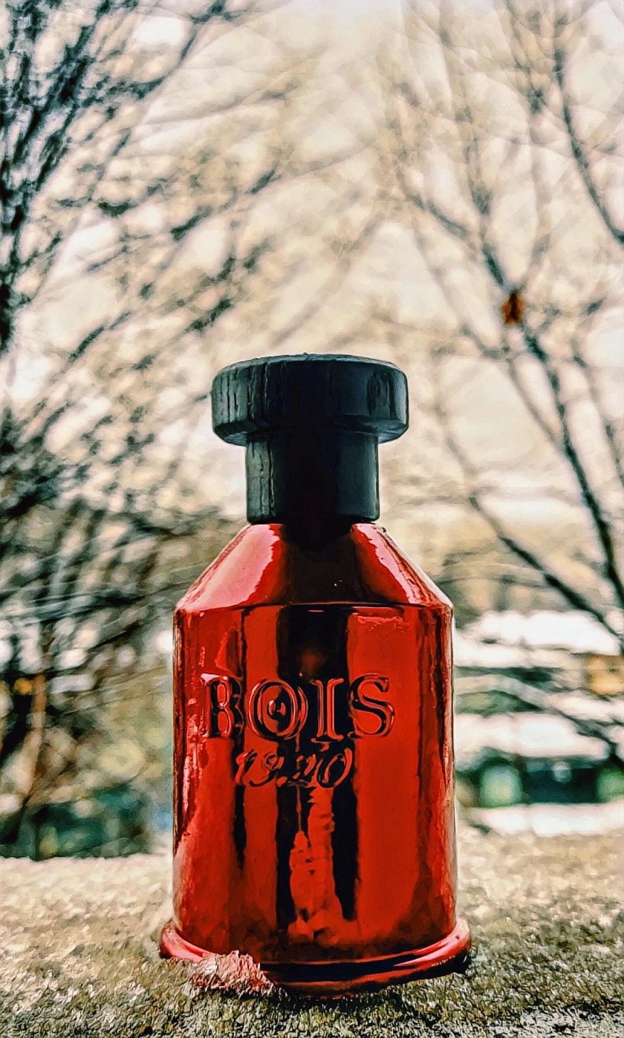 Bois 1920 Relativamente Rosso