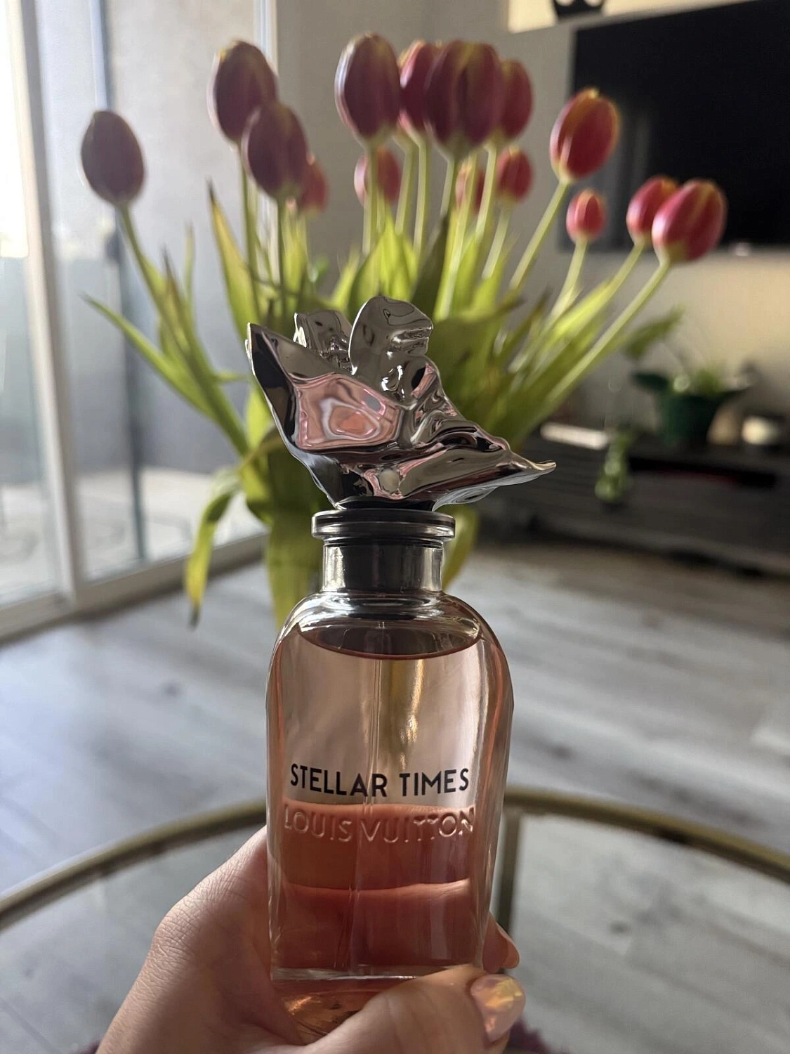 Louis Vuitton Stellar Times