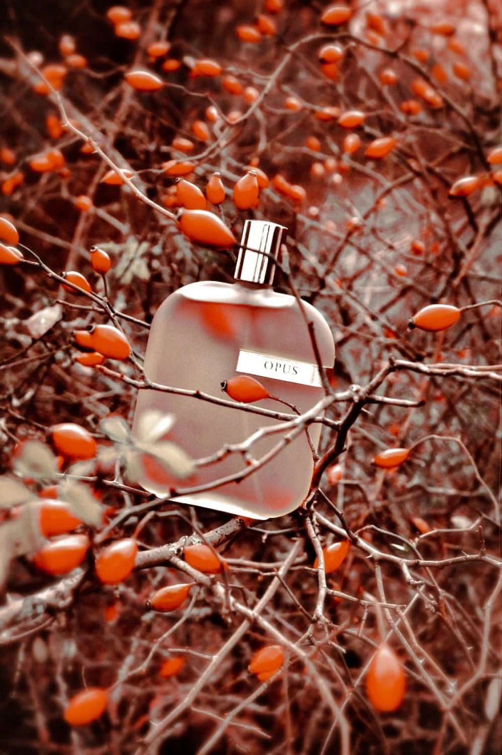 Amouage The Library Collection Opus I