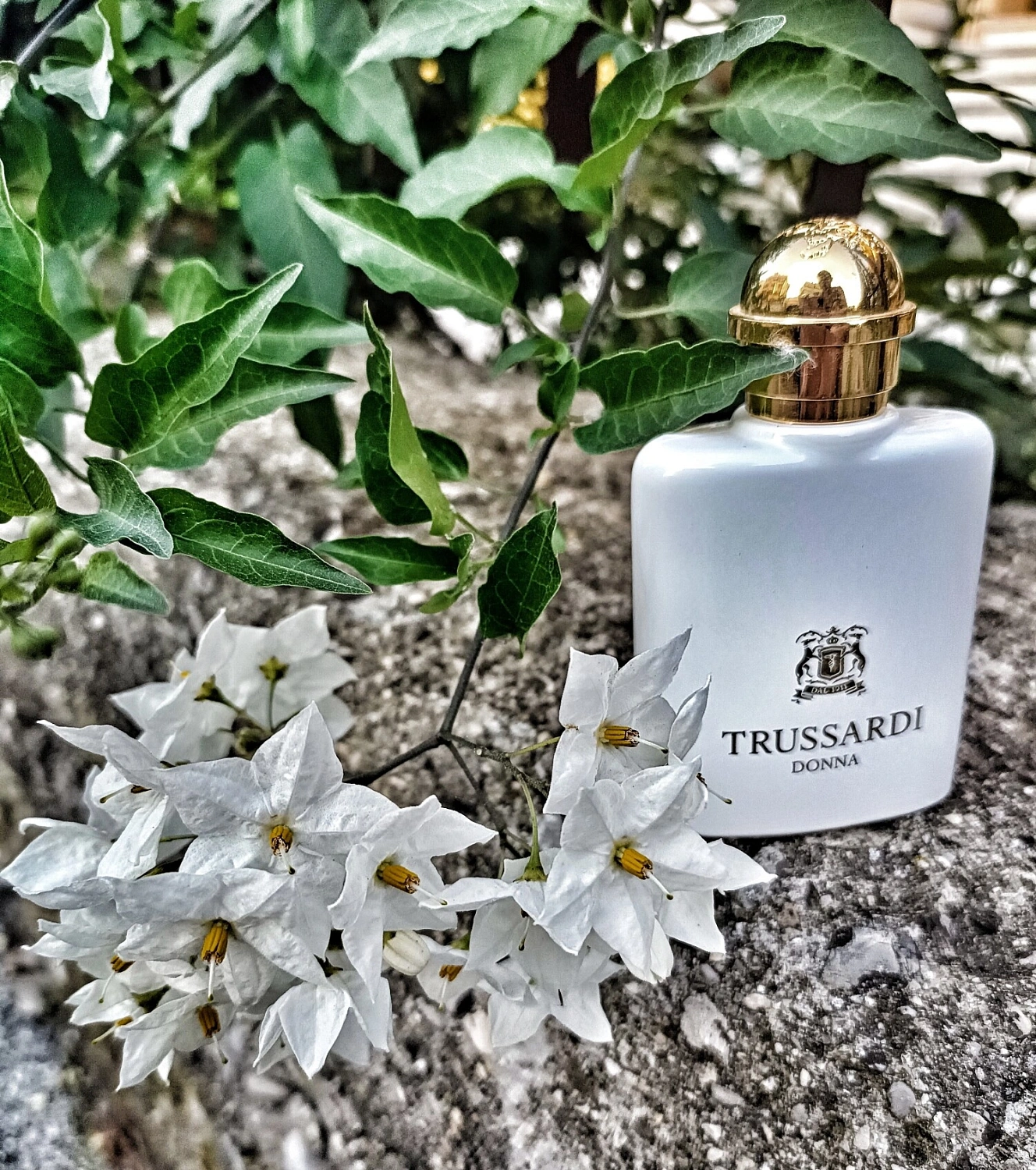 Donna Trussardi 2011