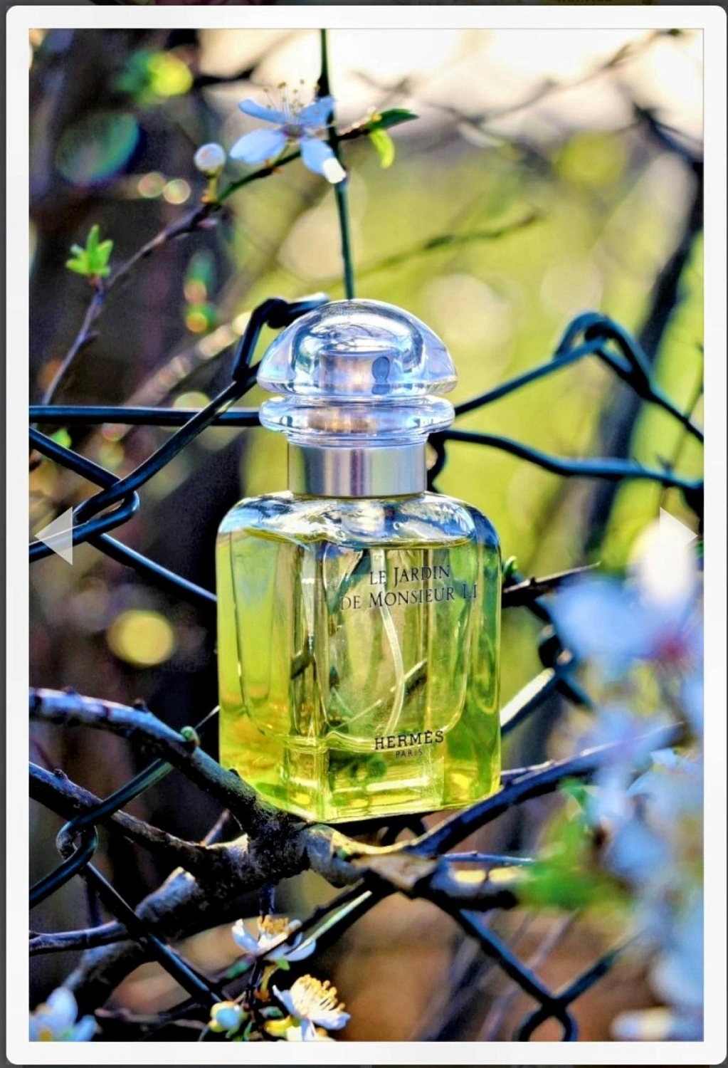 Hermès Le Jardin de Monsieur Li