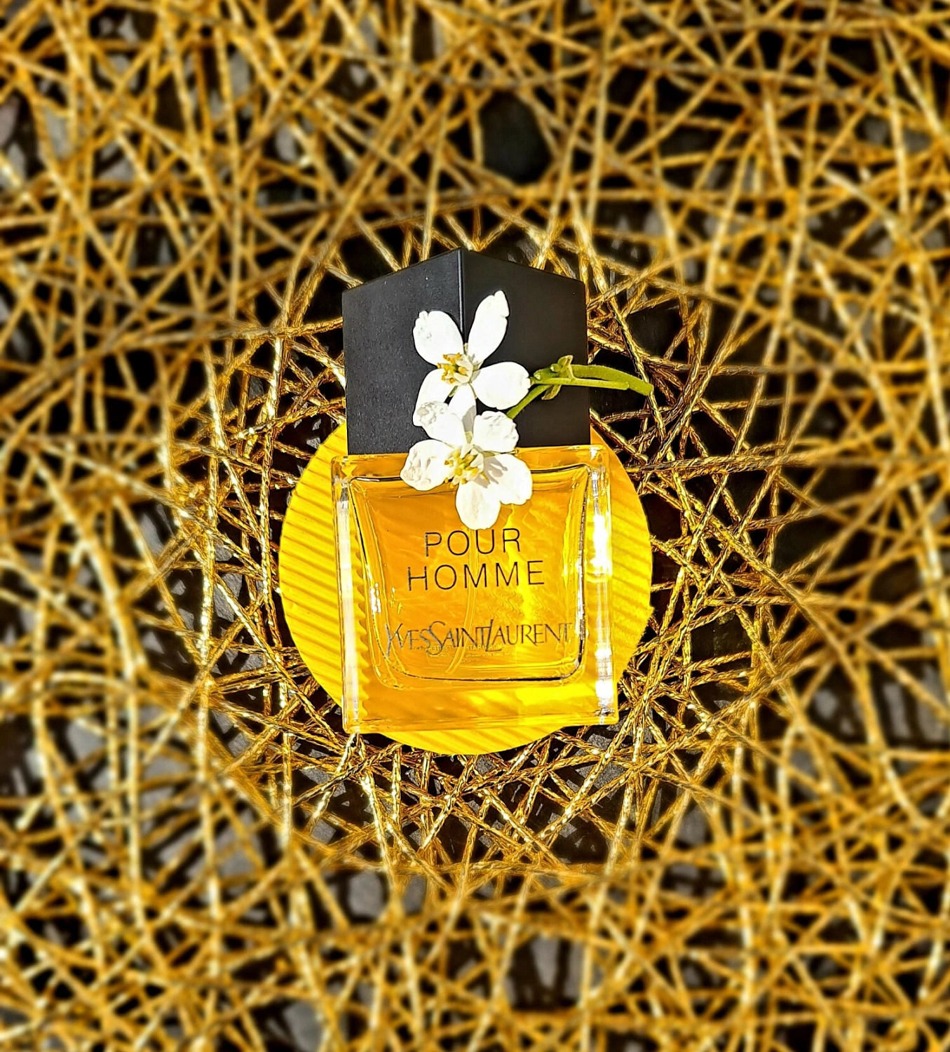 Yves Saint Laurent Parfum Pour Homme
