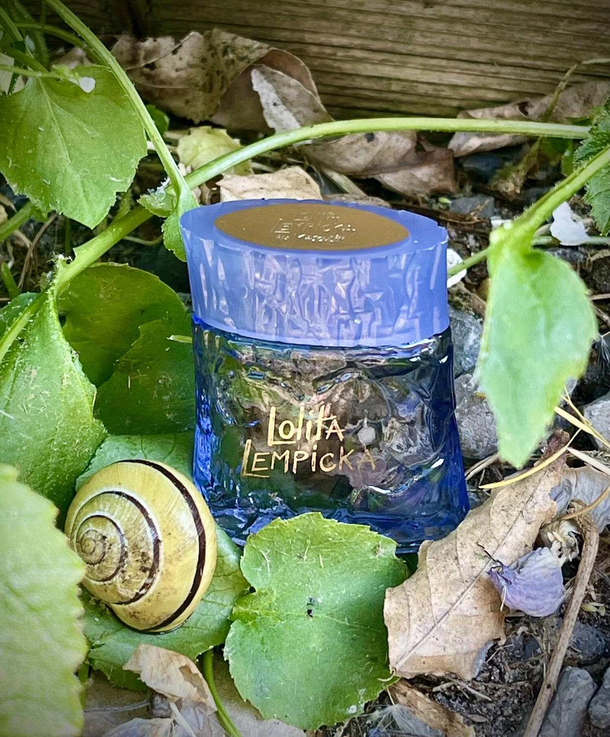 Lolita Lempicka Au Masculin Collector