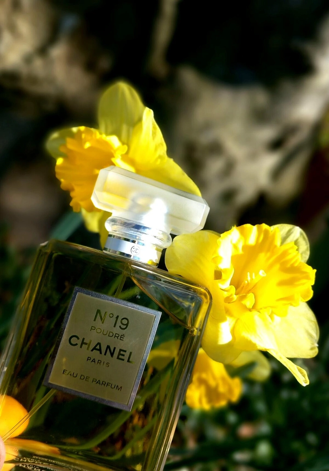 Chanel N°19 Poudre