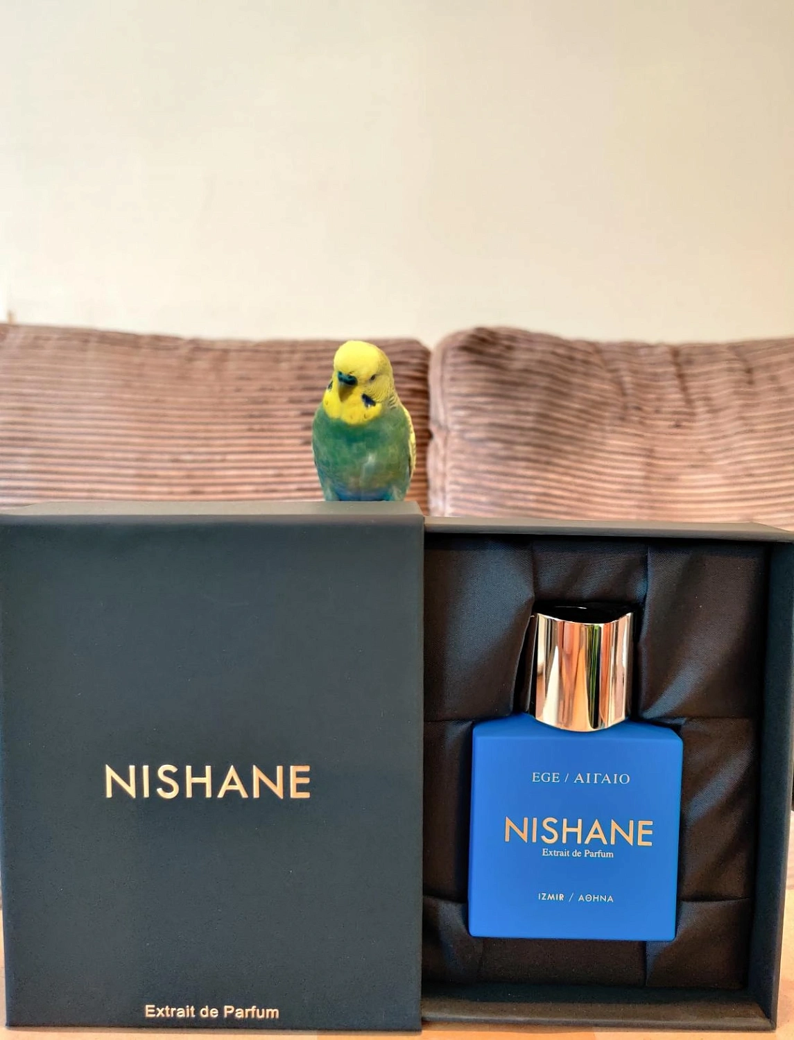 Nishane EGE / ΑΙΓΑΙΟ