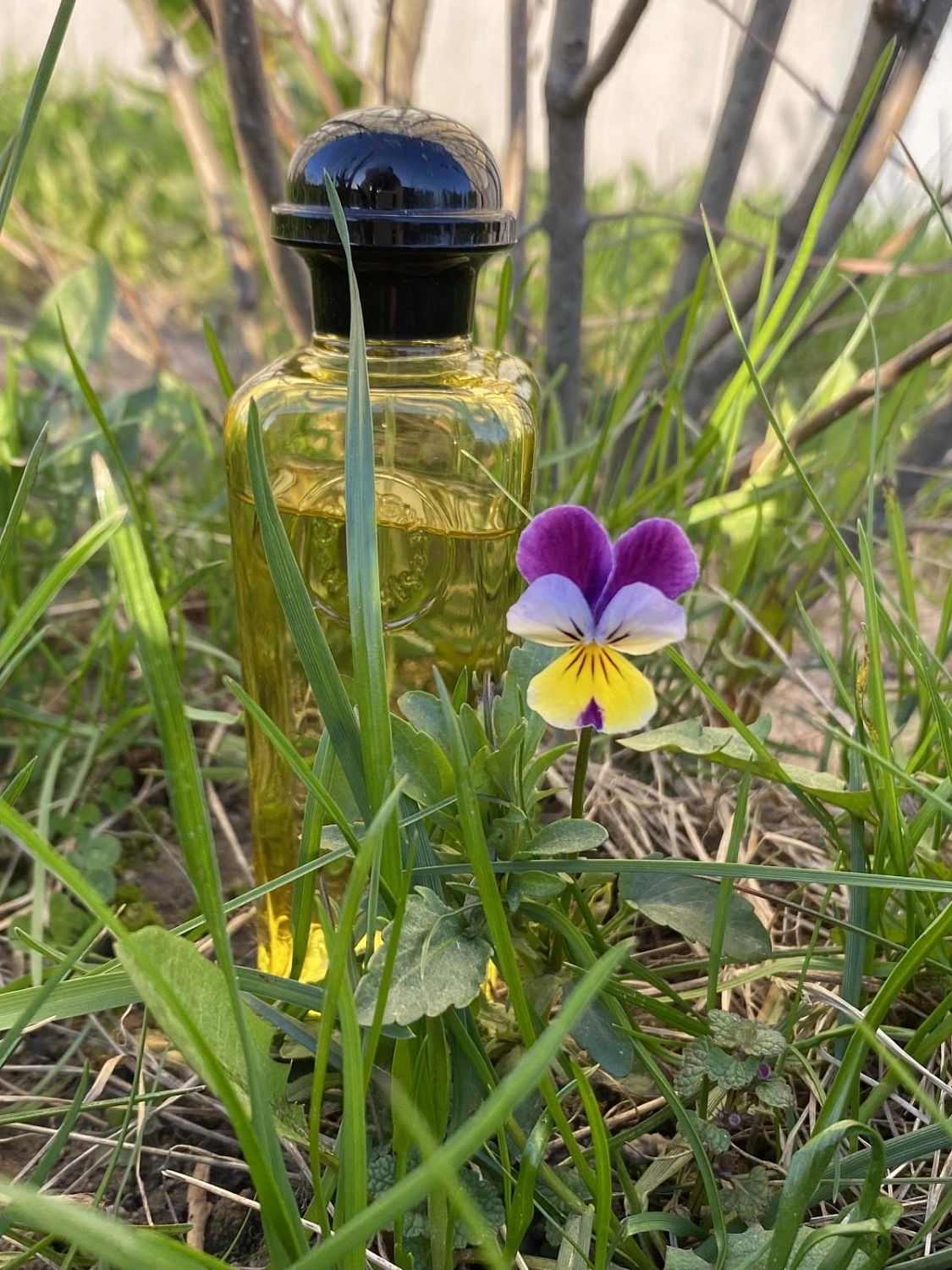 Hermès Eau de Neroli Dore