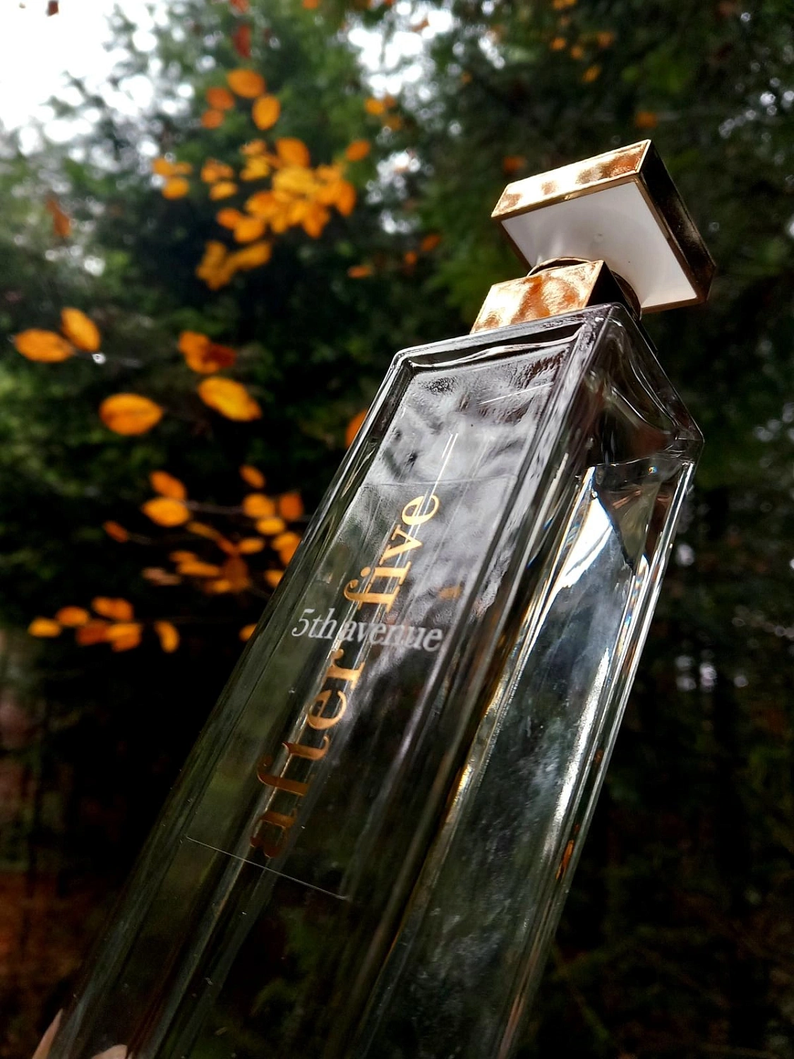 Elizabeth Arden 5th Avenue After Five