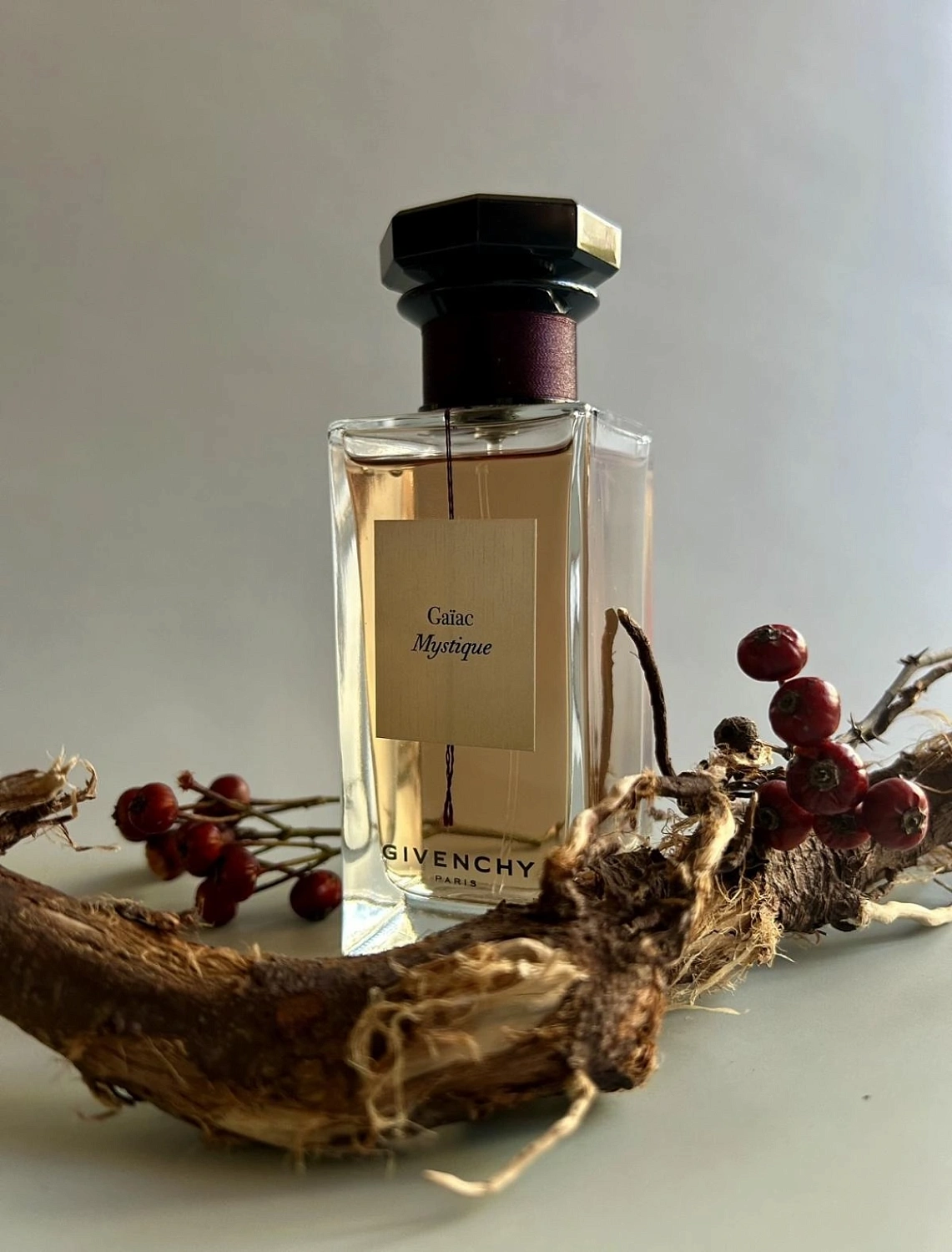 Givenchy Gaiac Mystique