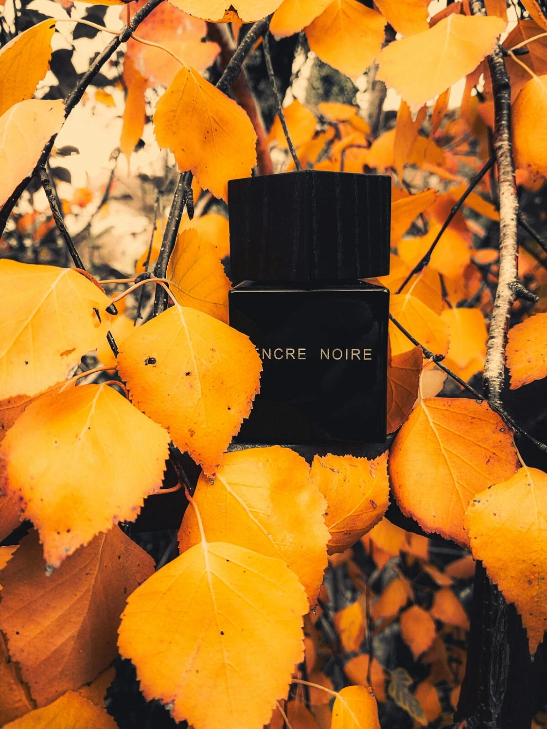 Lalique Encre Noire