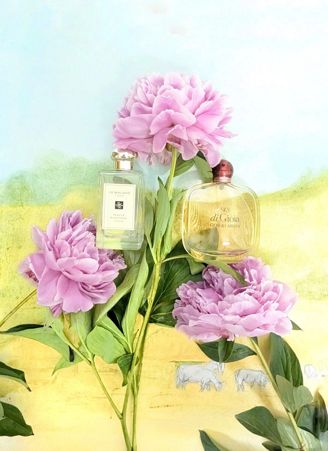 Armani Sky di Gioia