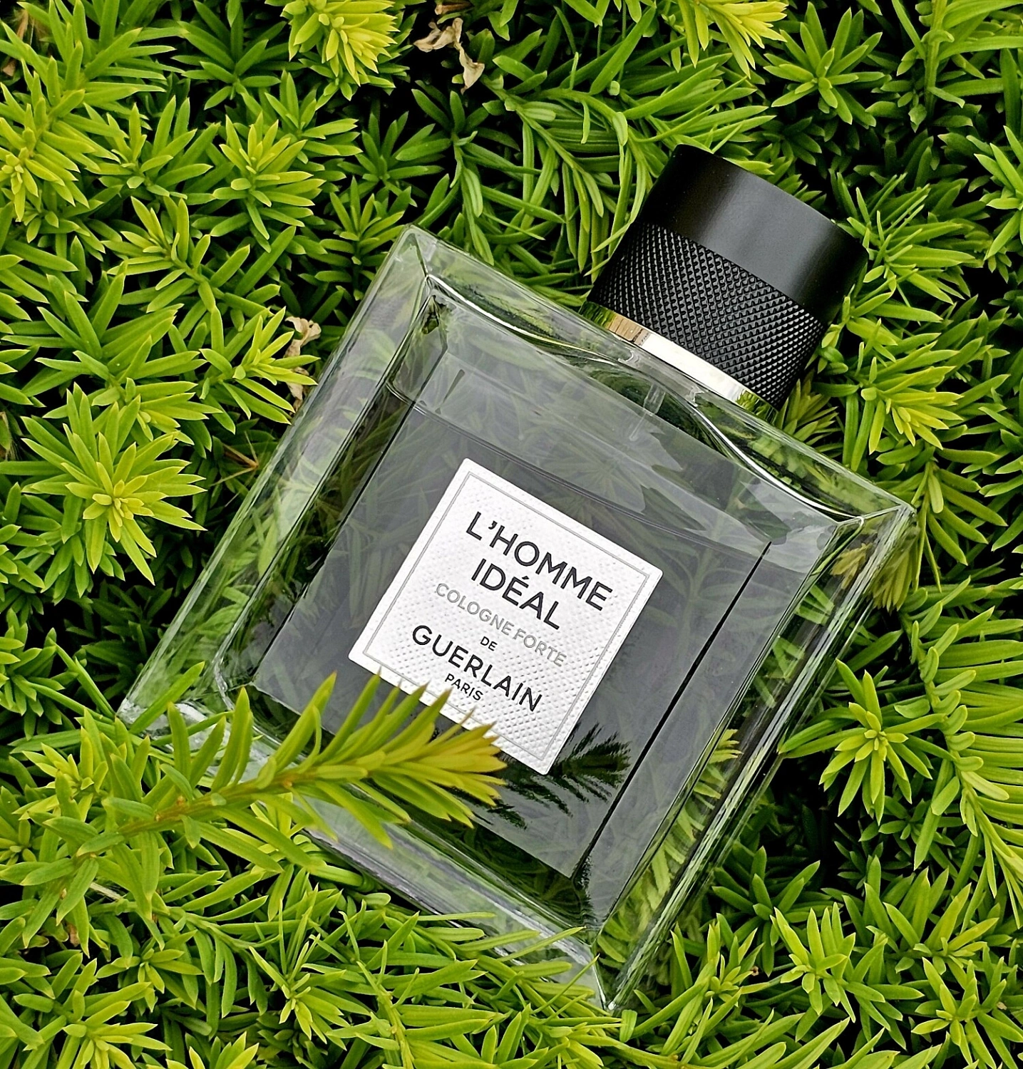 Guerlain L'Homme Ideal Cologne Forte