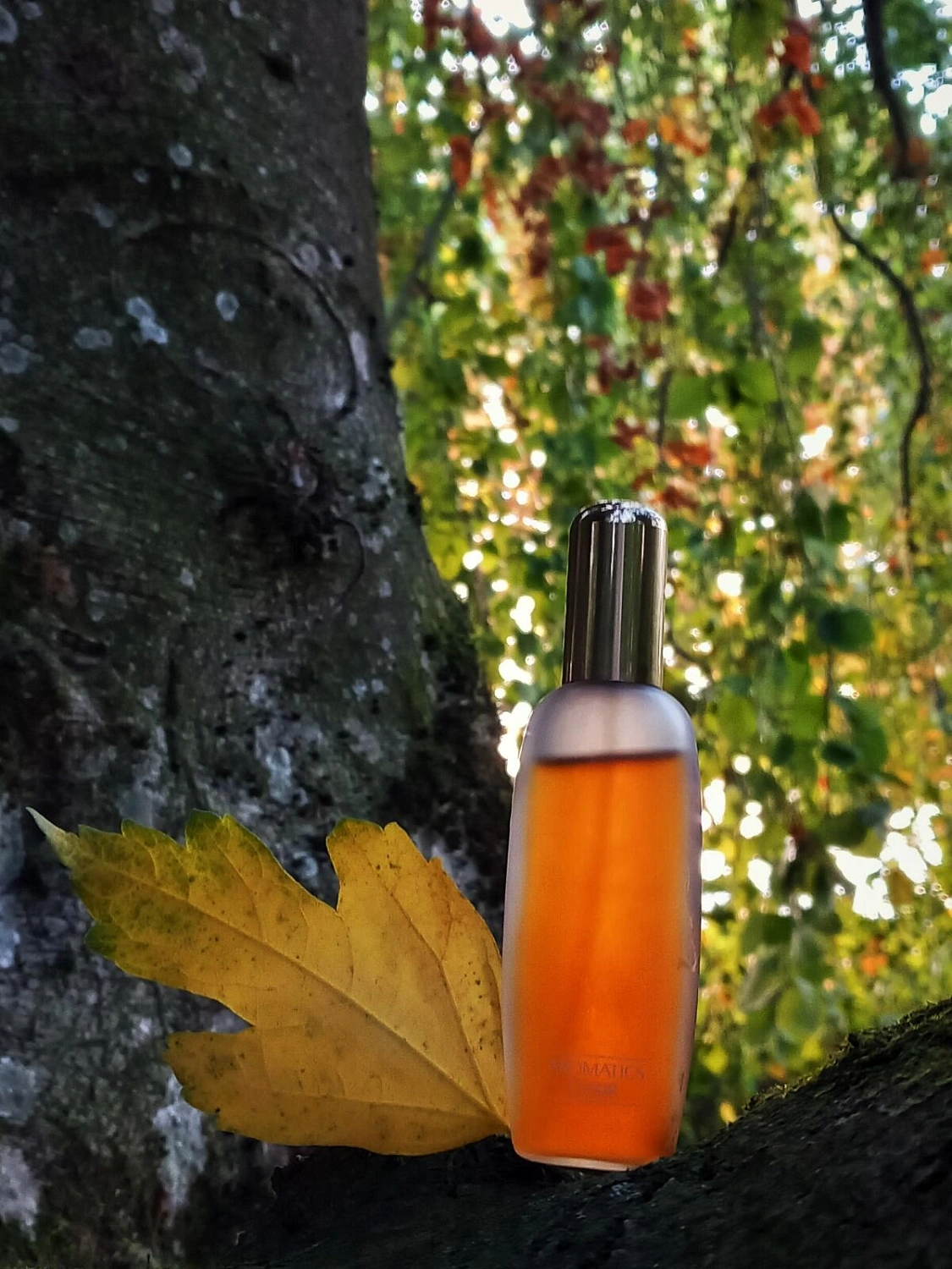 Clinique Aromatics Elixir