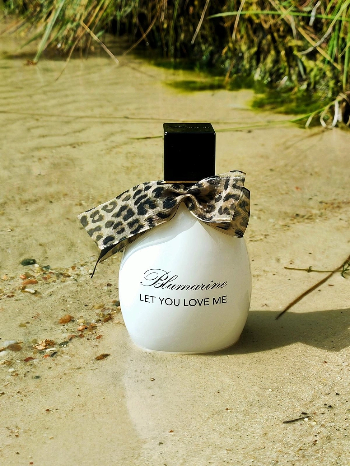 Blumarine Let You Love Me