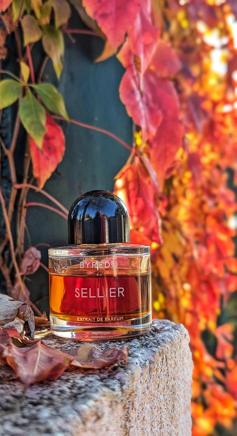 BYREDO Sellier