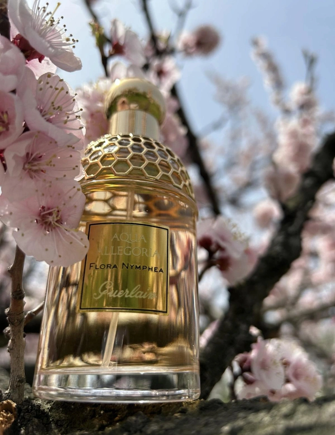 Guerlain Aqua Allegoria Flora Nymphea