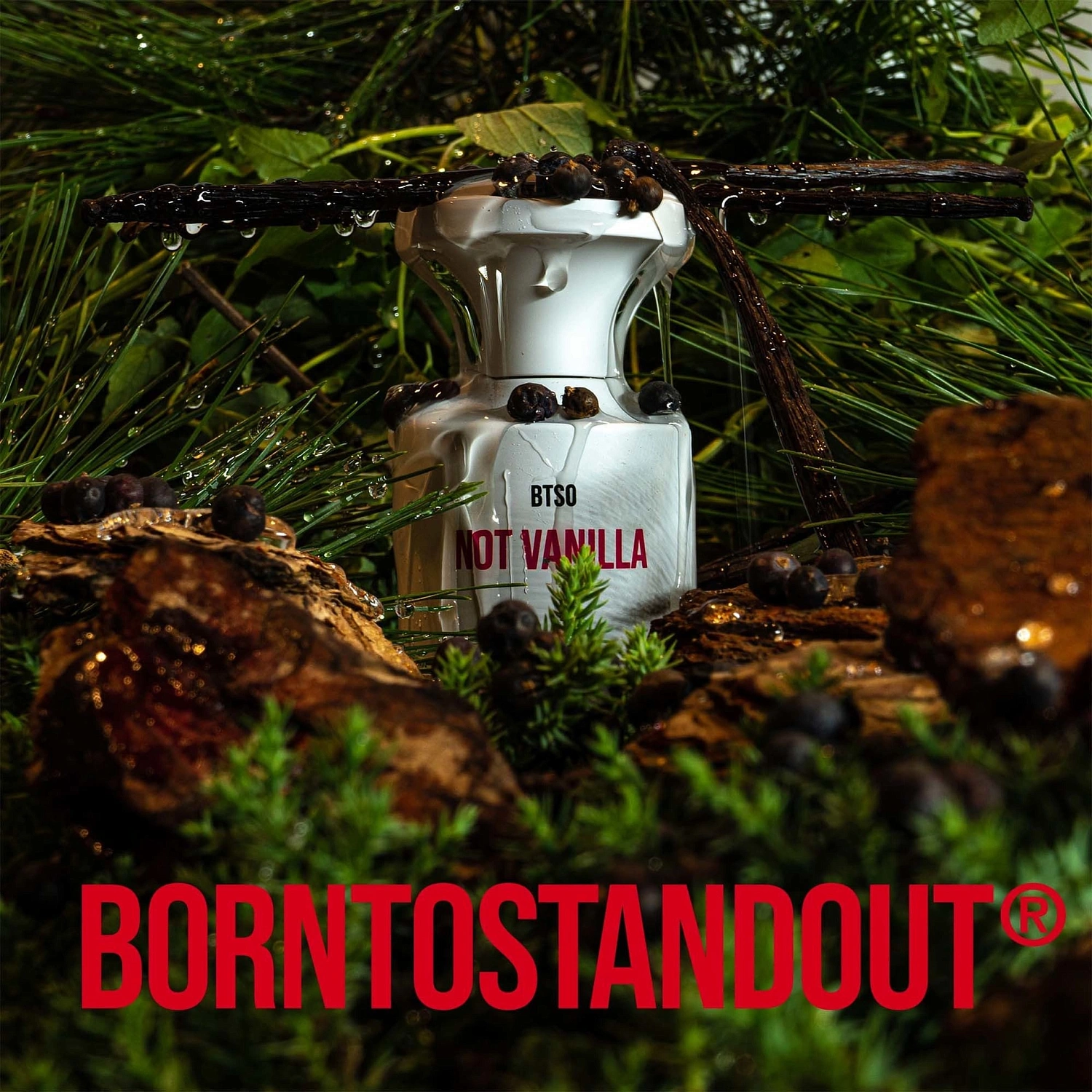 BORNTOSTANDOUT Not Vanilla
