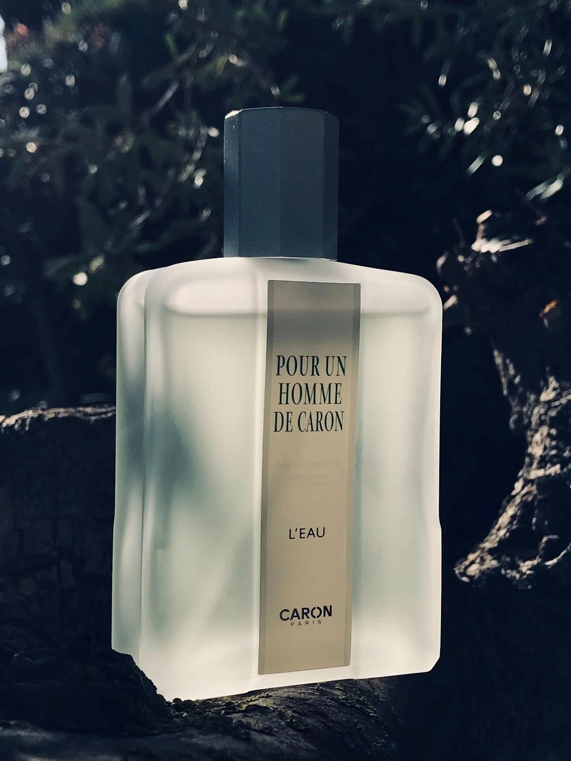 Pour Un Homme de Caron L'Eau