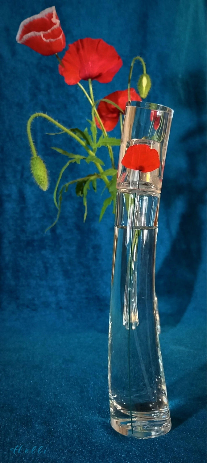 Flower by Kenzo