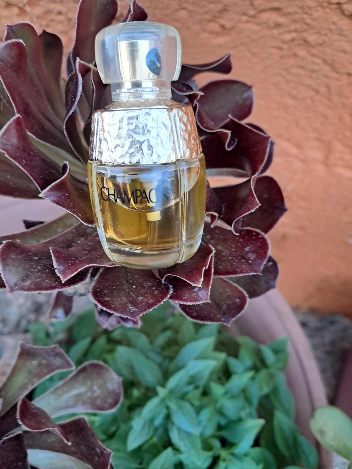 Yves Saint Laurent Yvresse