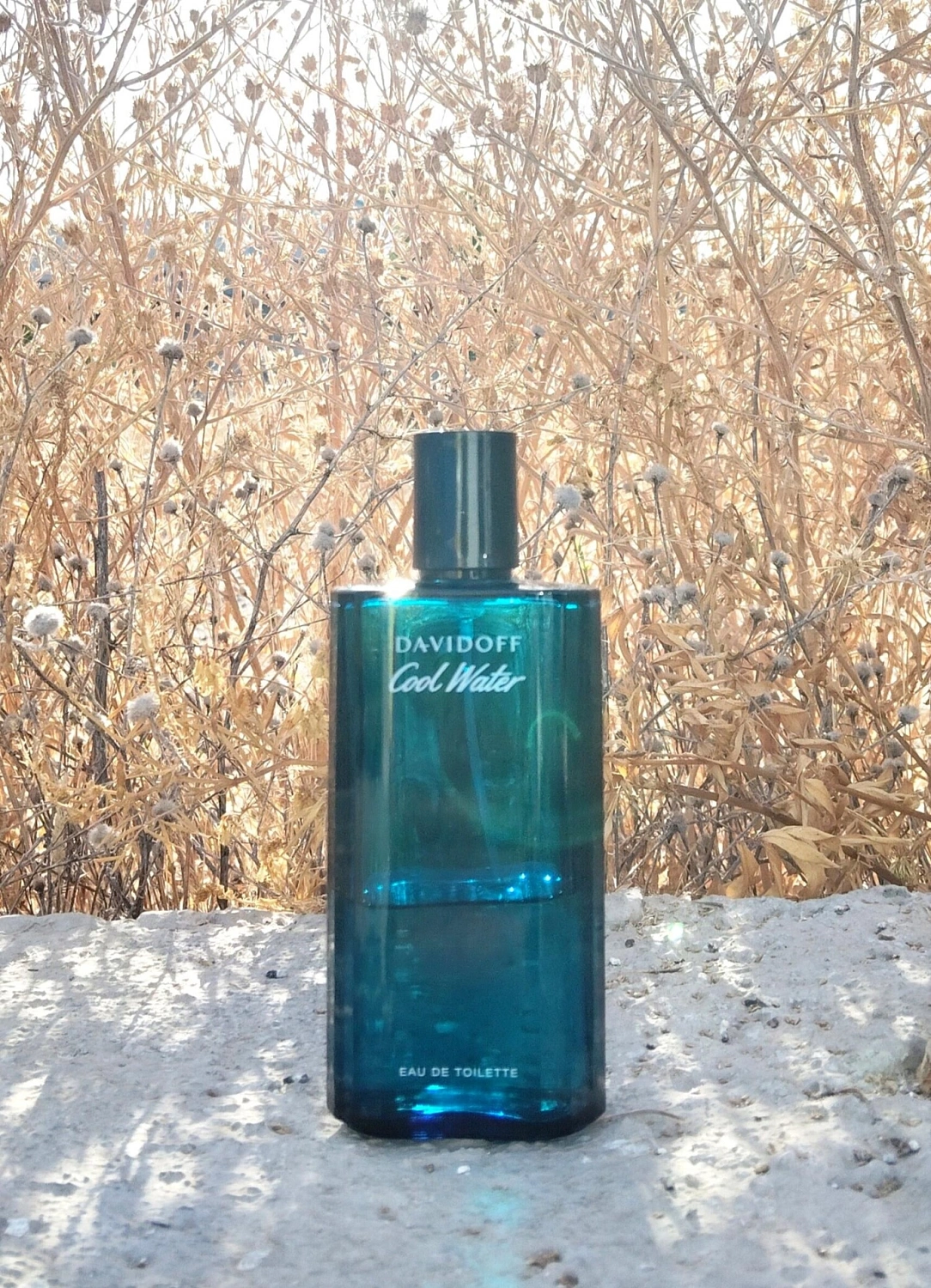 Davidoff Cool Water Man