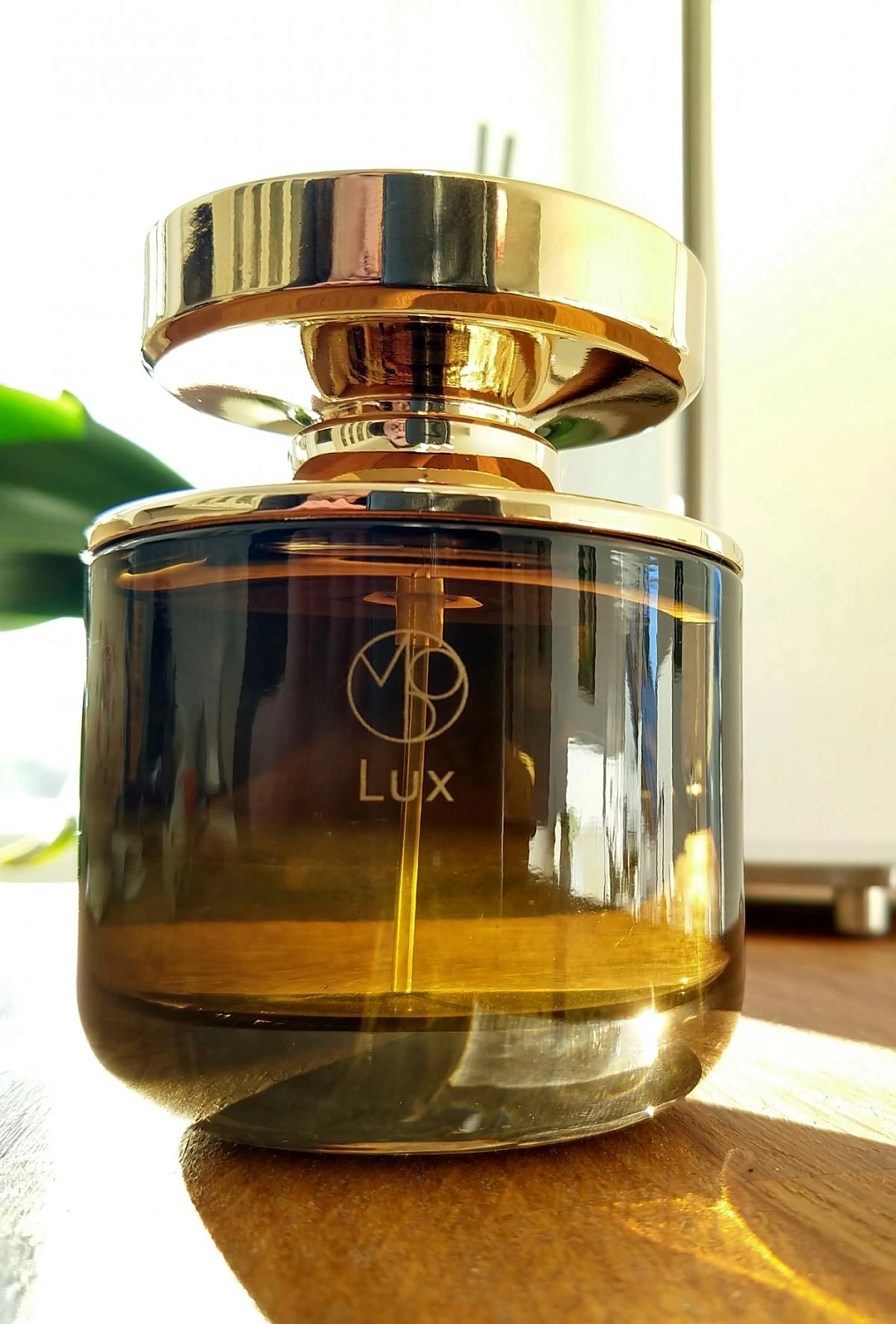 Mona di Orio Lux